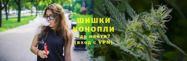 дживик Зеленокумск