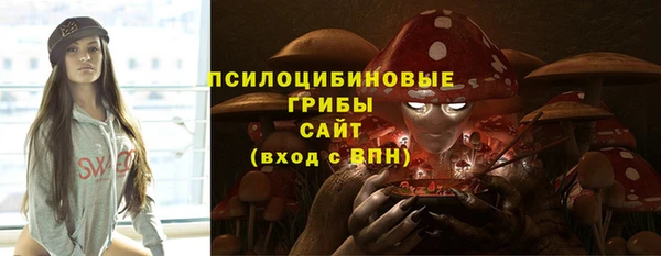трава Зеленодольск