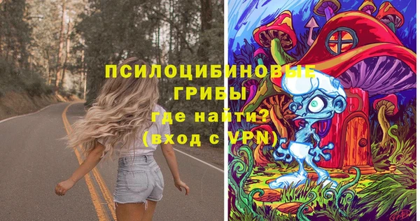дживик Зеленокумск