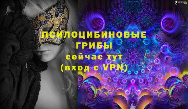 дживик Зеленокумск