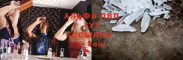 дживик Зеленокумск